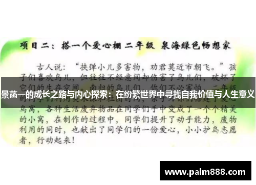 景菡一的成长之路与内心探索：在纷繁世界中寻找自我价值与人生意义