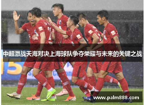 中超激战天海对决上海球队争夺荣耀与未来的关键之战